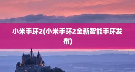 小米手环2(小米手环2全新智能手环发布)