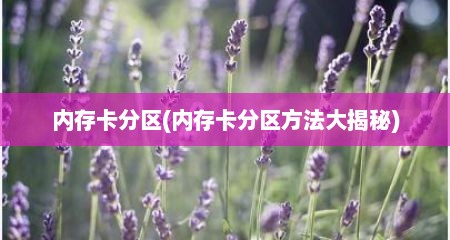 内存卡分区(内存卡分区方法大揭秘)