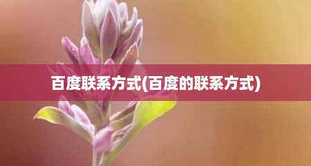 百度联系方式(百度的联系方式)