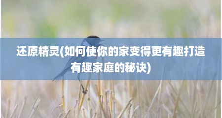 还原精灵(如何使你的家变得更有趣打造有趣家庭的秘诀)