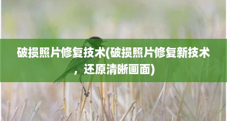破损照片修复技术(破损照片修复新技术，还原清晰画面)
