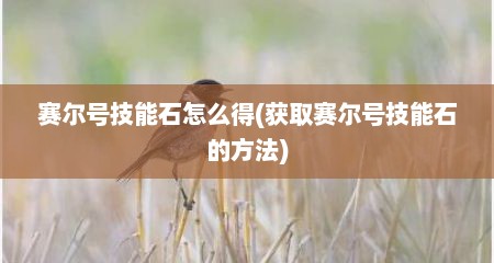 赛尔号技能石怎么得(获取赛尔号技能石的方法)
