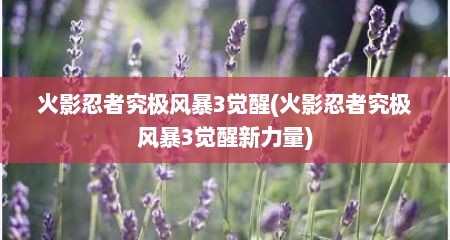 火影忍者究极风暴3觉醒(火影忍者究极风暴3觉醒新力量)