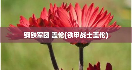 钢铁军团 盖伦(铁甲战士盖伦)