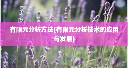 有限元分析方法(有限元分析技术的应用与发展)