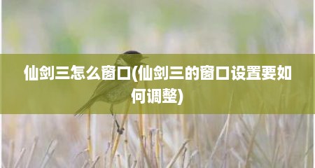 仙剑三怎么窗口(仙剑三的窗口设置要如何调整)