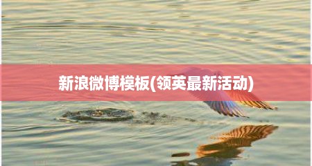 新浪微博模板(领英最新活动)