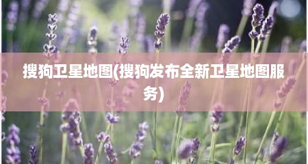 搜狗卫星地图(搜狗发布全新卫星地图服务)