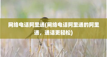 网络电话阿里通(网络电话阿里通的阿里通，通话更轻松)