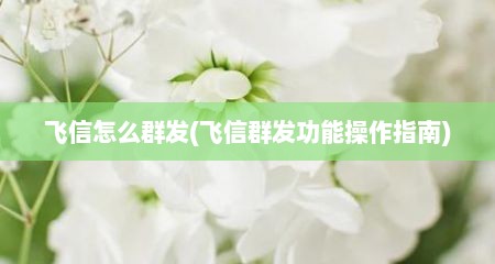 飞信怎么群发(飞信群发功能操作指南)