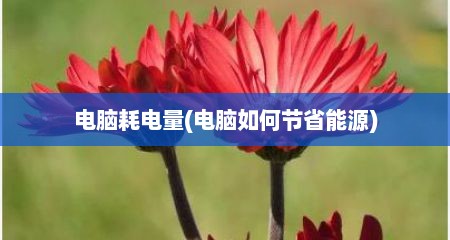 电脑耗电量(电脑如何节省能源)