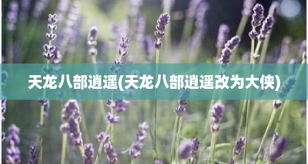 天龙八部逍遥(天龙八部逍遥改为大侠)