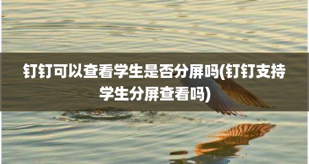 钉钉可以查看学生是否分屏吗(钉钉支持学生分屏查看吗)