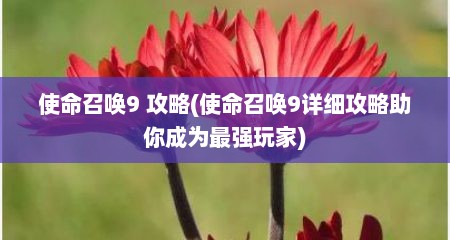 使命召唤9 攻略(使命召唤9详细攻略助你成为最强玩家)