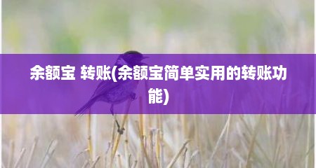 余额宝 转账(余额宝简单实用的转账功能)