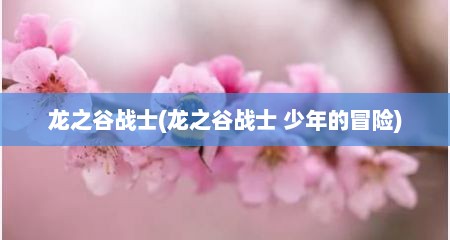 龙之谷战士(龙之谷战士 少年的冒险)