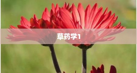草药学1