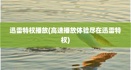 迅雷特权播放(高速播放体验尽在迅雷特权)