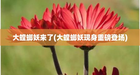 大螳螂妖来了(大螳螂妖现身重磅登场)