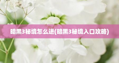 暗黑3秘境怎么进(暗黑3秘境入口攻略)