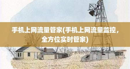 手机上网流量管家(手机上网流量监控，全方位实时管家)