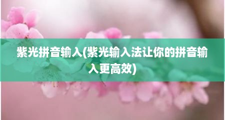 紫光拼音输入(紫光输入法让你的拼音输入更高效)