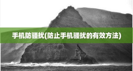 手机防骚扰(防止手机骚扰的有效方法)
