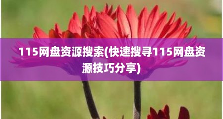 115网盘资源搜索(快速搜寻115网盘资源技巧分享)
