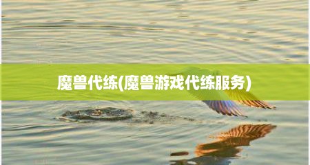 魔兽代练(魔兽游戏代练服务)