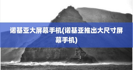 诺基亚大屏幕手机(诺基亚推出大尺寸屏幕手机)