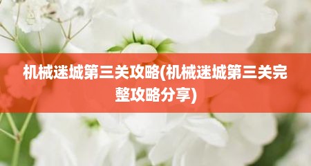 机械迷城第三关攻略(机械迷城第三关完整攻略分享)