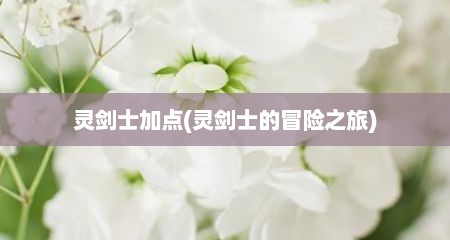 灵剑士加点(灵剑士的冒险之旅)