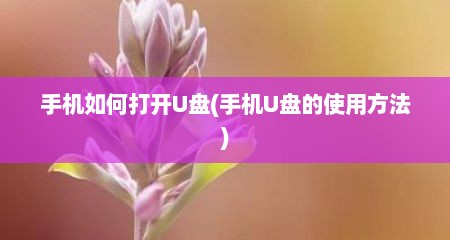 手机如何打开U盘(手机U盘的使用方法)