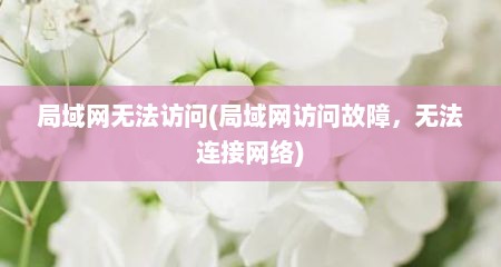 局域网无法访问(局域网访问故障，无法连接网络)