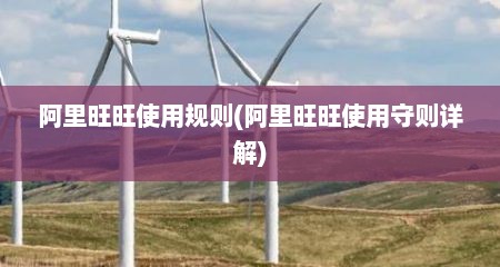 阿里旺旺使用规则(阿里旺旺使用守则详解)