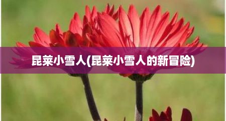 昆莱小雪人(昆莱小雪人的新冒险)