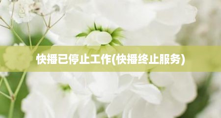 快播已停止工作(快播终止服务)