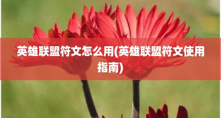 英雄联盟符文怎么用(英雄联盟符文使用指南)
