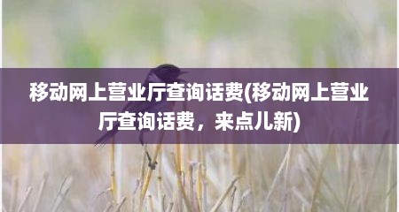 移动网上营业厅查询话费(移动网上营业厅查询话费，来点儿新)