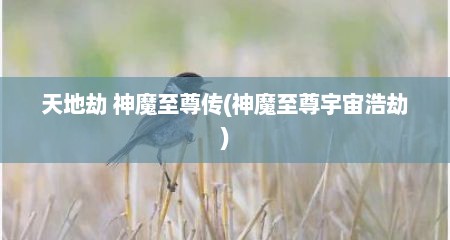 天地劫 神魔至尊传(神魔至尊宇宙浩劫)