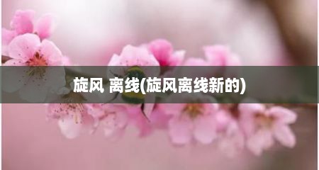 旋风 离线(旋风离线新的)