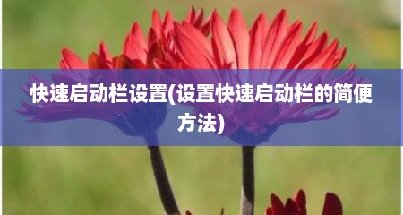 快速启动栏设置(设置快速启动栏的简便方法)