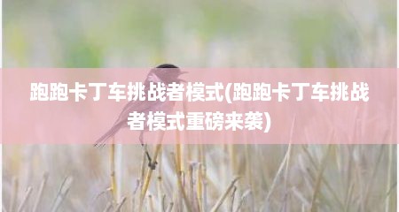 跑跑卡丁车挑战者模式(跑跑卡丁车挑战者模式重磅来袭)