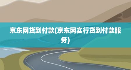 京东网货到付款(京东网实行货到付款服务)