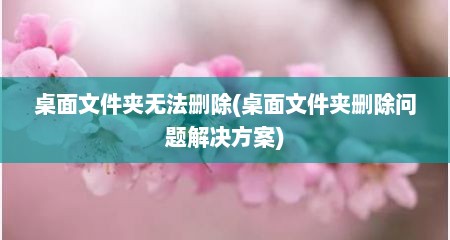 桌面文件夹无法删除(桌面文件夹删除问题解决方案)