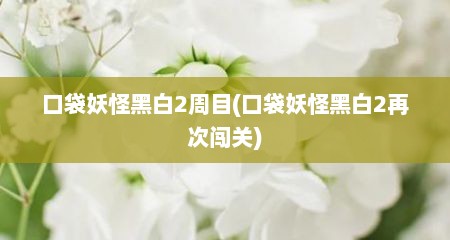 口袋妖怪黑白2周目(口袋妖怪黑白2再次闯关)