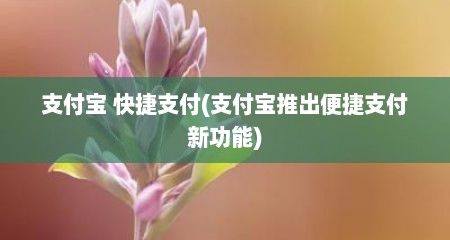 支付宝 快捷支付(支付宝推出便捷支付新功能)