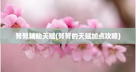 努努辅助天赋(努努的天赋加点攻略)