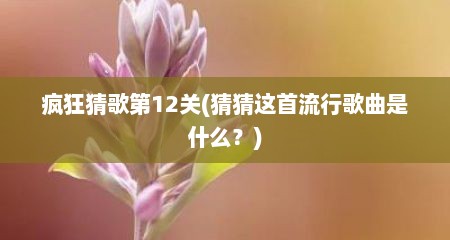 疯狂猜歌第12关(猜猜这首流行歌曲是什么？)