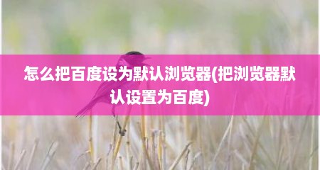 怎么把百度设为默认浏览器(把浏览器默认设置为百度)